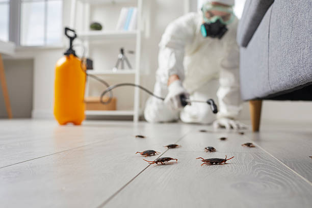 Commercial Kitchen Cockroach Control in Copperopolis